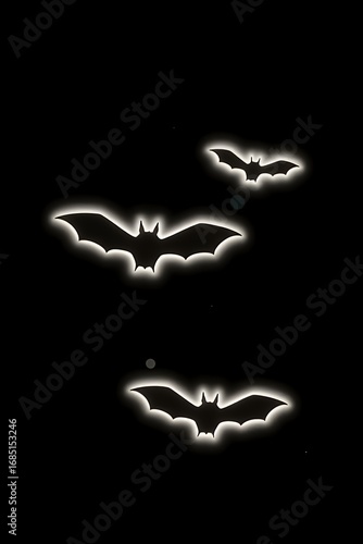 Three Bats Flying in the Night