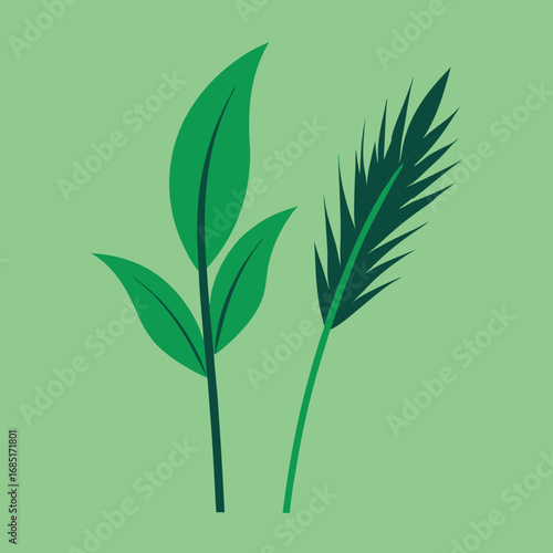 Simple green plant leaves and fronds on a pale green background