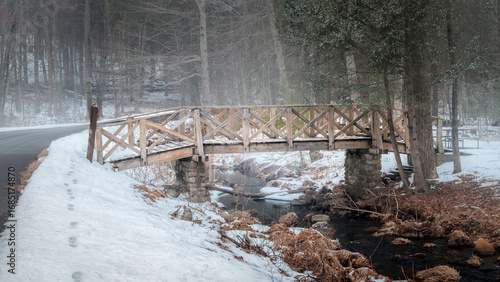 wooden bridge in the forest