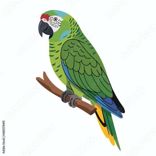 Colorful parrot perched on branch