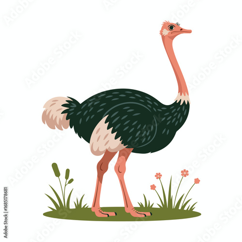 Cartoon ostrich standing in the grass