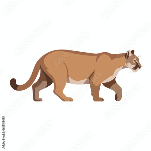 Illustration of a cougar in vector format