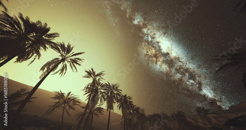 Wall Mural Beneath a shimmering galaxy, tall palm trees sway gently against a golden horizon