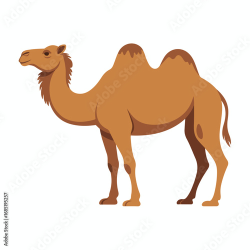 Illustration of a brown camel in cartoon style