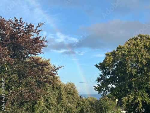 Rainbow over the sea in between trees