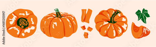 Pumpkin set. Abstract fall gourds in vintage style, cartoon orange whole sliced pumpkins with green stems leaf, autumn harvest food, vegetables for Halloween. Vector collection