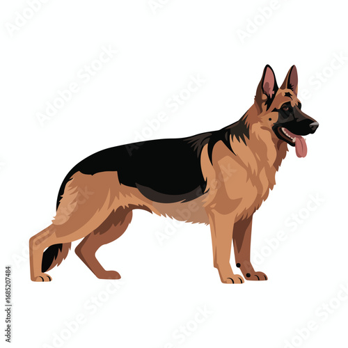 German shepherd dog standing illustration vector
