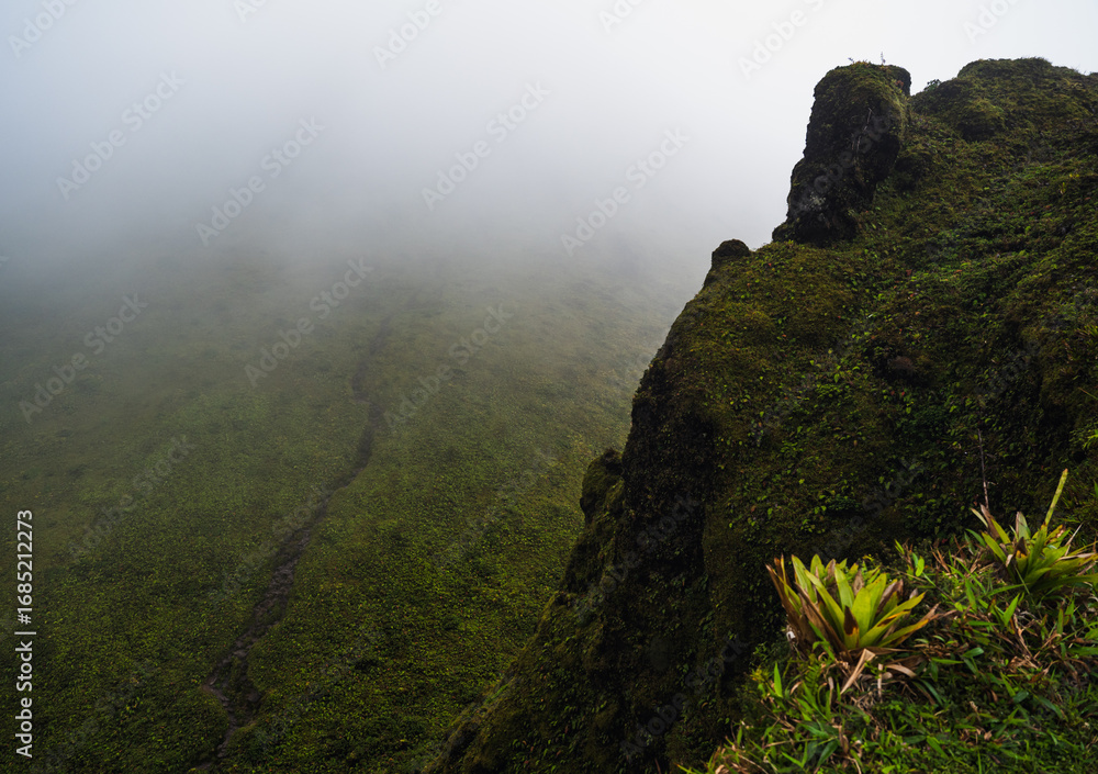 Fototapeta premium Mountain cliff shrouded in fog, with rich greenery highlighting the landscape.