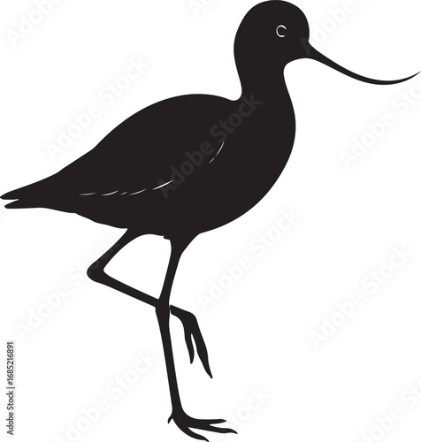 Elegant avocet bird in flight silhouette vector illustration