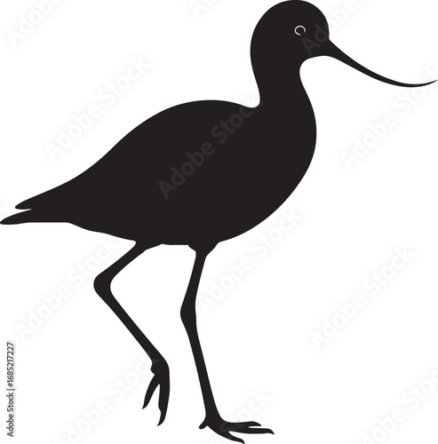 Elegant avocet bird silhouette in flight vector illustration