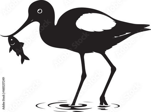 Elegant avocet bird in flight silhouette vector illustration