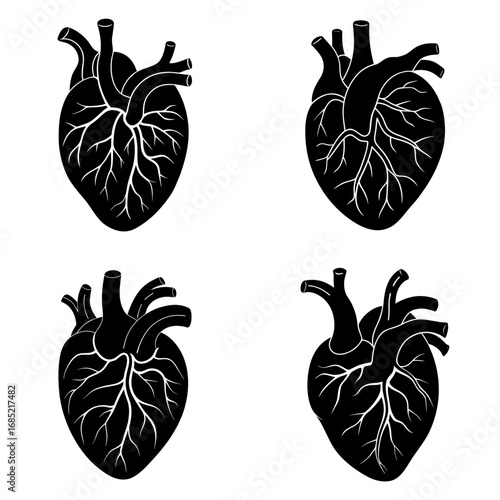 Four anatomical heart illustrations in black and white showing the organ structure and circulatory system anatomy