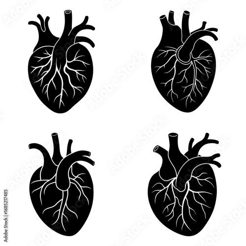 Four anatomical heart illustrations in black and white showing arteries and veins in detailed silhouette style