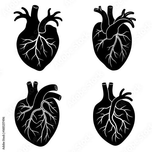 Four anatomical heart illustrations in black and white showing arteries and veins in detailed graphics