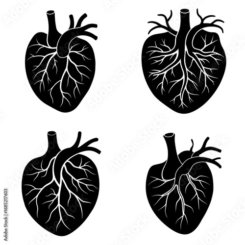 Four anatomical heart illustrations with detailed arteries in black and white design on a white background
