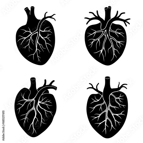 Four anatomical heart illustrations in black and white showing arteries and veins in detailed graphics style