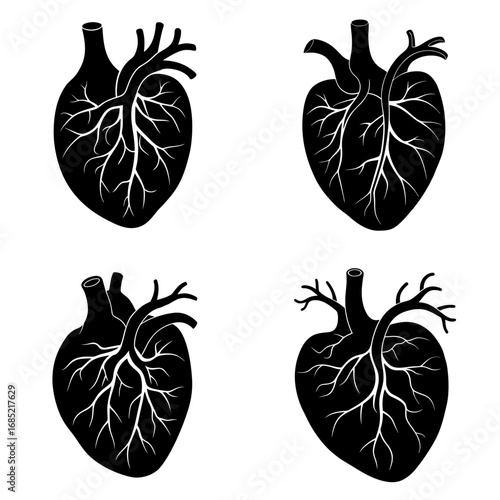 Four anatomical heart illustrations in black and white showing arteries and veins in detail and silhouette style