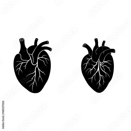 Two black anatomical hearts with white veins isolated on a white background in a simple vector illustration