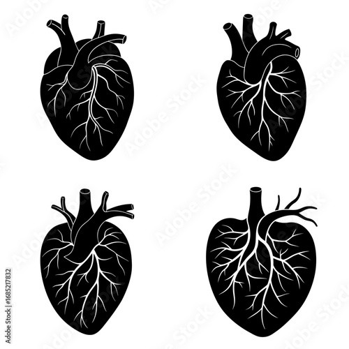Anatomical heart illustrations in black and white showing arteries and veins in a medical diagram style