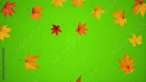 Vibrant autumn leaves gently falling against a bright green background