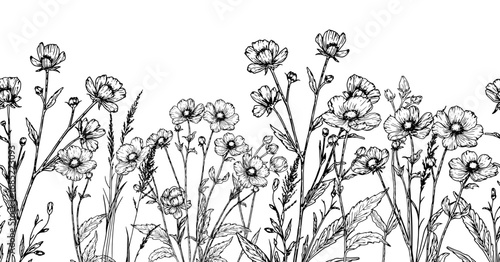 Wildflowers and leaves on seamless horizontal border, black and white sketch. Vector illustration. Pattern of meadow grass and foliage is isolated on white background. For cards, invitations, textile