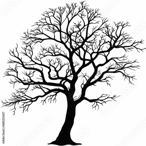 A stark silhouette of a deciduous tree with intricate branch patterns against a white background is shown here created with generated ai