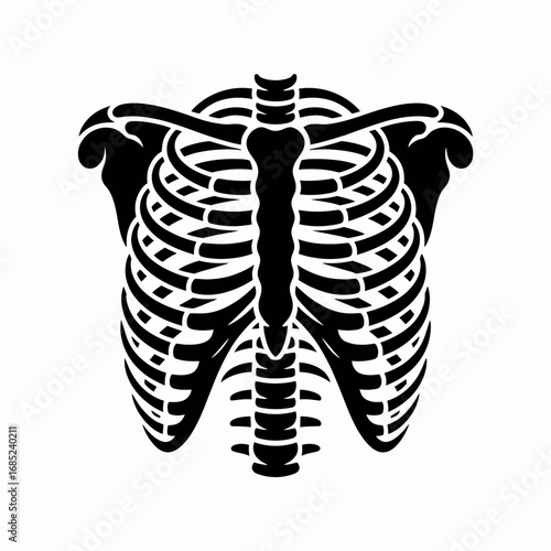 x ray of human skeleton