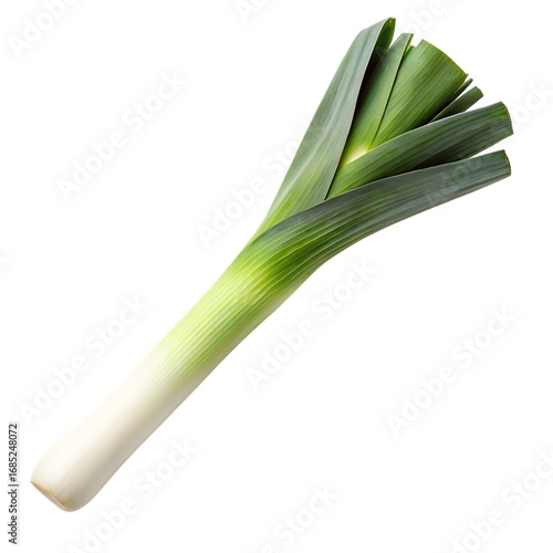 Fresh leek vegetable isolated on white background