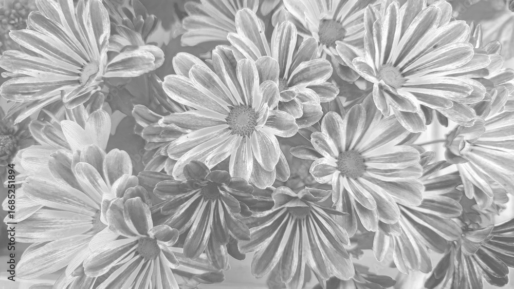 custom made wallpaper toronto digitalHintergrund Flowers