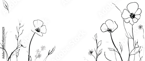 Delicate black and white sketch of poppies and wildflowers blooming in a field