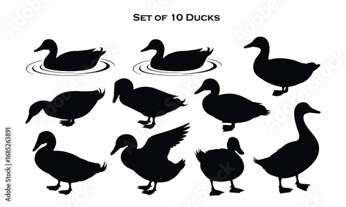 Set of 10 duck silhouettes in varied poses including swimming, walking, flapping, and sitting, symbolizing wildlife motion and diversity