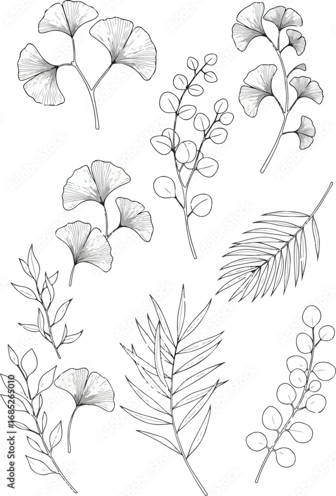 Obraz premium ~temp_image_Line_art_botanical_a_seed534093_1756377428818_1