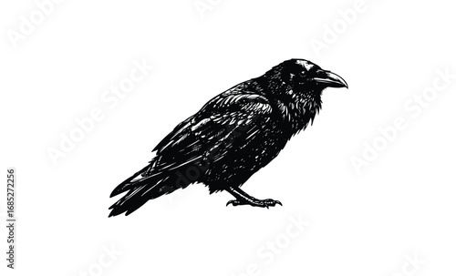 Intricate black raven illustration in profile. Vector retro hand drawn illustration