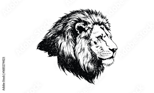 Detailed black and white lion profile illustration with majestic mane. Vector retro hand drawn illustration