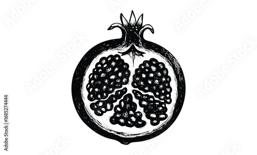 Hand-drawn pomegranate illustration showing detailed seeds and texture. Vector retro hand drawn illustration