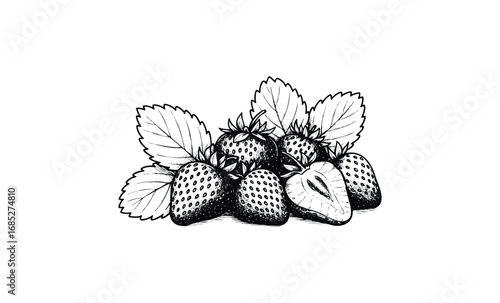 Detailed black and white strawberry illustration with leaves. Vector retro hand drawn illustration