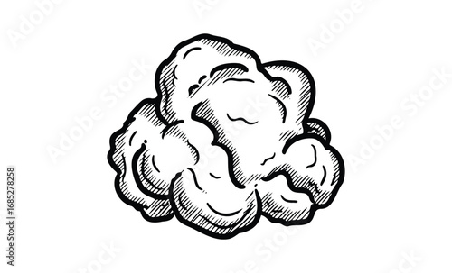 Monochrome sketch of a cloud with intricate shading and detailing. Vector retro hand drawn illustration