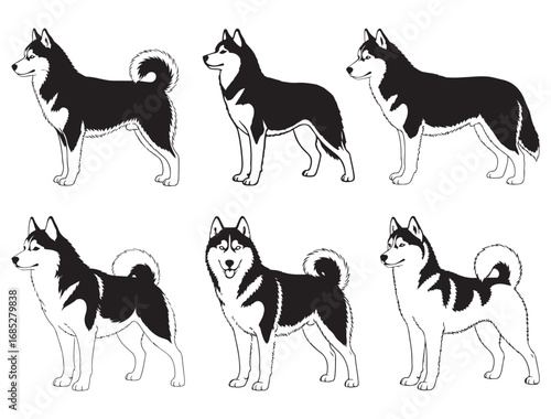 OUTLINED SIBERIAN HUSKY SILHOUETTE