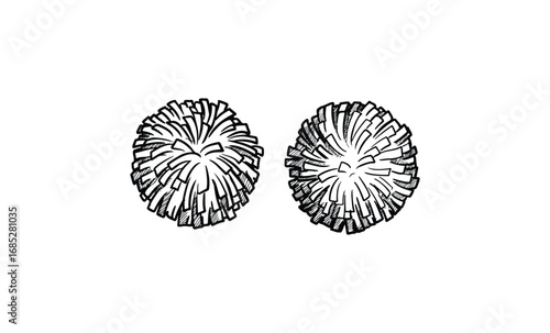 Black and white sketch of cheerleader pom-poms with abstract design. Vector retro hand drawn illustration