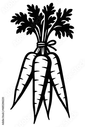 Stylized Black and White Illustration of a Freshly Picked Bunch of Carrots with Green Tops Tied Together, Perfect for Healthy Eating, Gardening, Farm-to-Table Concepts, and Vegan Recipes, a Classic Ro