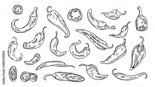 red hot chili peppers doodle hand drawn set. Chili hot pepper icon set. collections of hot chili Peppers doodle.