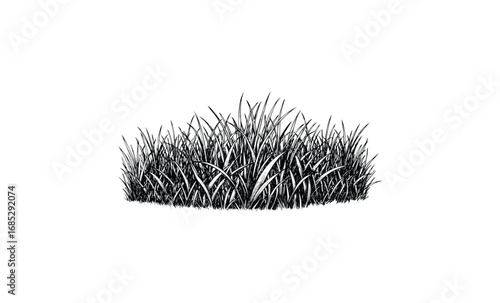 Lush patch of grass illustration with natural texture and sharp details. Vector retro hand drawn illustration