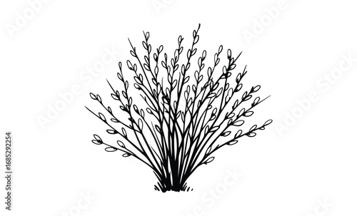Black and white line art of leafy plant with dense branches. Vector retro hand drawn illustration