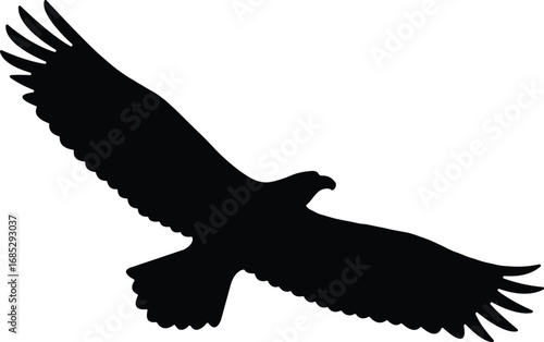 Flying eagle silhouette Template