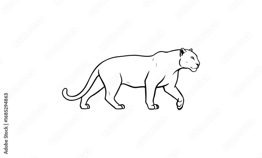 Fototapeta premium Outline drawing of a walking panther in profile view. Vector retro hand drawn illustration