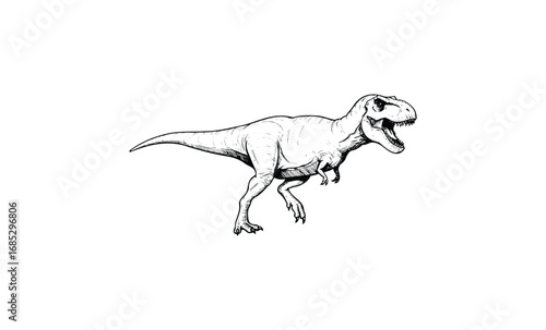 Detailed black and white tyrannosaurus rex sketch illustration of prehistoric dinosaur. Vector retro hand drawn illustration