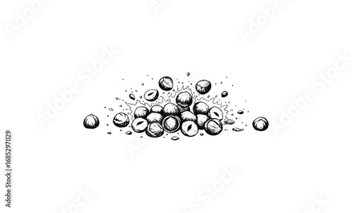 Hand-drawn black and white peanuts illustration with detailed shading. Vector retro hand drawn illustration
