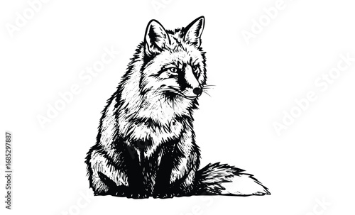 Black and white fox illustration with detailed fur texture. Vector retro hand drawn illustration