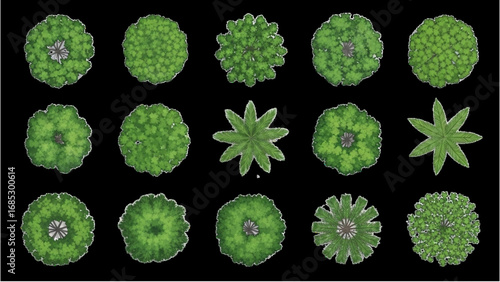 Top View Green Trees Set | Botanical Elements for Outdoor Plan, Garden, and Architectural Drawing