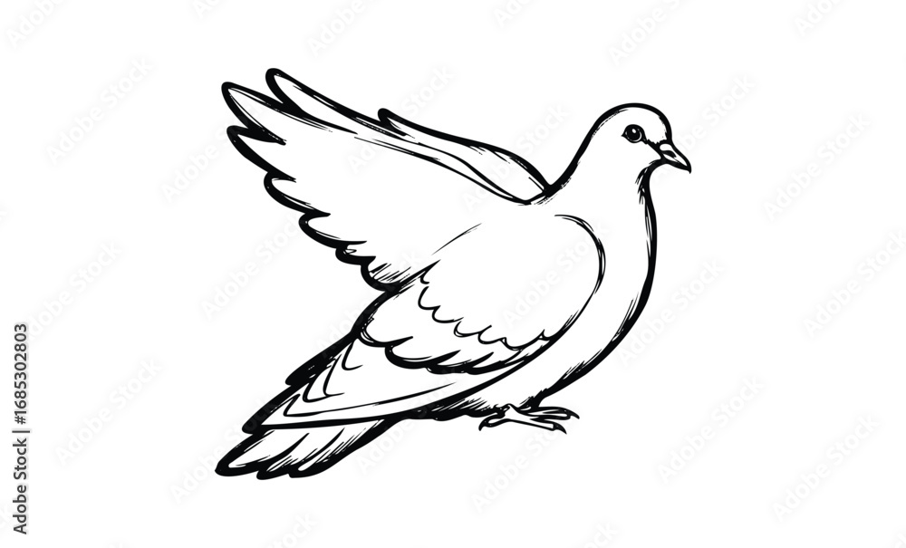 Obraz premium Graceful dove outline drawing with outstretched wings. Vector retro hand drawn illustration